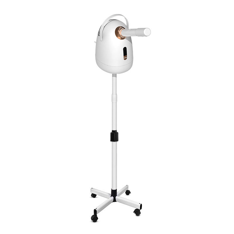 Nano Facial Steamer for Home Use